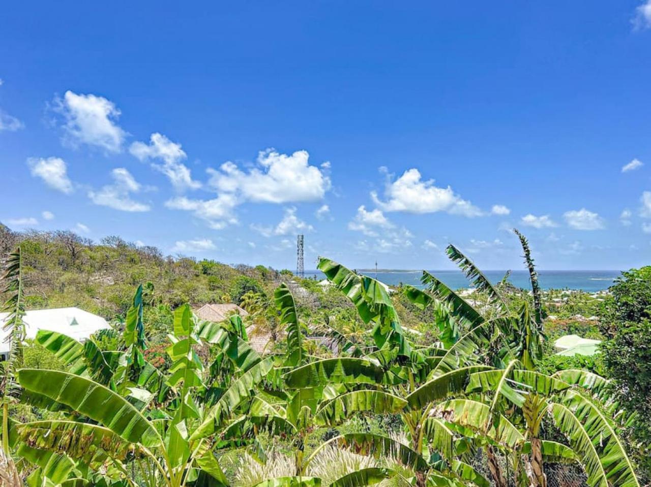 Villa Caraibe Sea 5 Min Walk To Orient Bay Beach Exterior photo